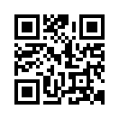 31809498