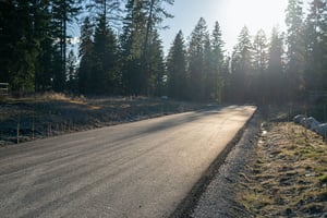 31811031