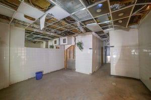 31813894