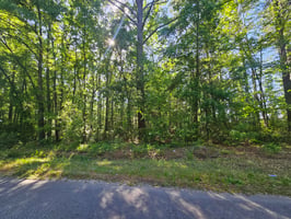 31816236
