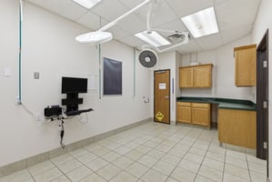 31819095