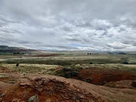 31819384