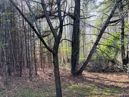 31823929