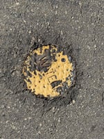 31833983