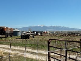 31839289