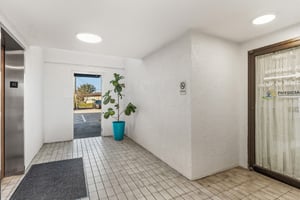 31847249