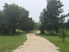 31888388