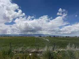 33163371