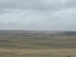 31861350