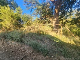 31861827