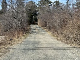 31865583