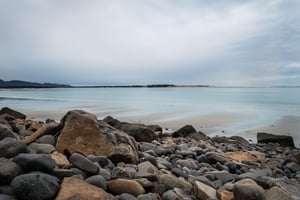 31866339