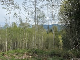 31867430