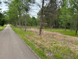 32050682