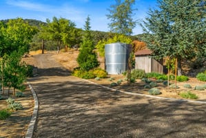 31877167