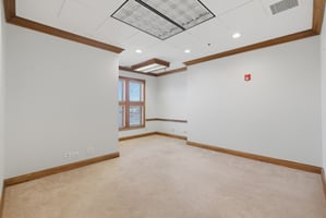 31888565