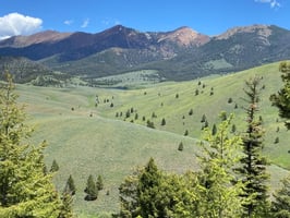 31889389