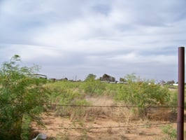 31890085