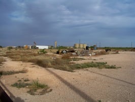 31890080