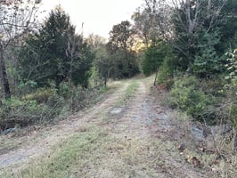 31890479