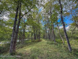 31891007