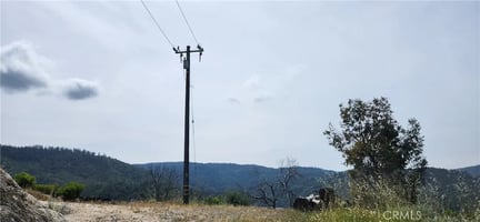 32709035