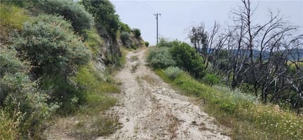 32709043