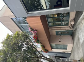 31993678