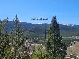 31993867