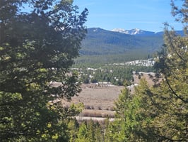 31993864