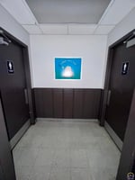 31994532