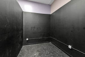 31995513