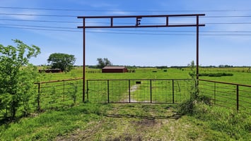 32394006