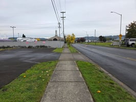 31998381