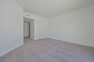 32037068