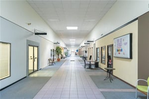 32003531