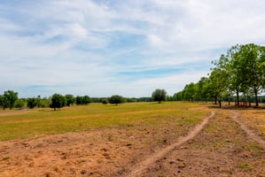 32011072
