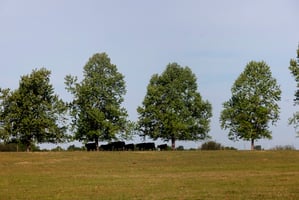 32011040