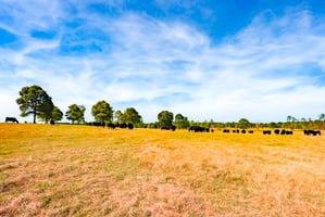 32011058