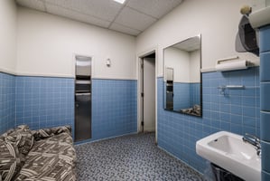 33624055