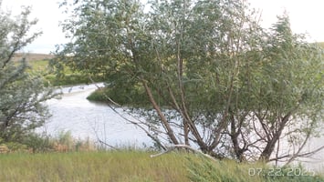 32013042