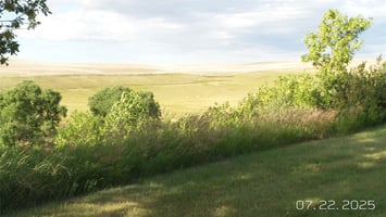 32013059