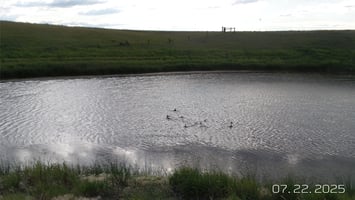 32013040