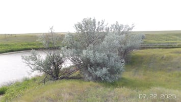 32013053