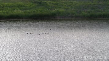 32013045