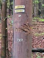 33160510