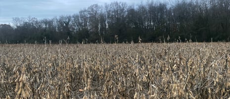 32018520
