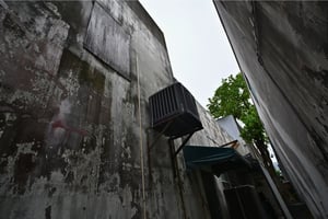 32036129