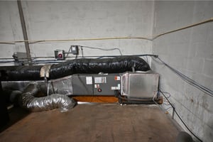 32036123