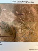 32043769